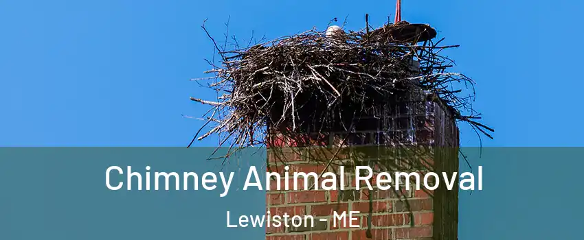  Chimney Animal Removal Lewiston - ME
