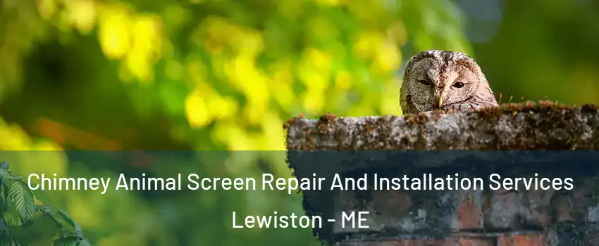  Chimney Animal Screen Repair And Installation Services Lewiston - ME