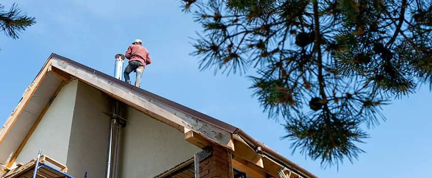 Birds Removal Contractors from Chimney in Lewiston, ME